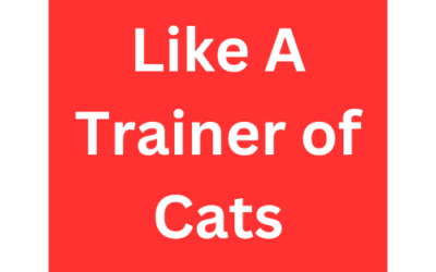 Like A Trainer Of Cats Rap