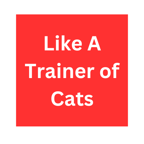 Like A Trainer of Cats