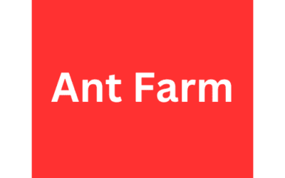 Ant Farm