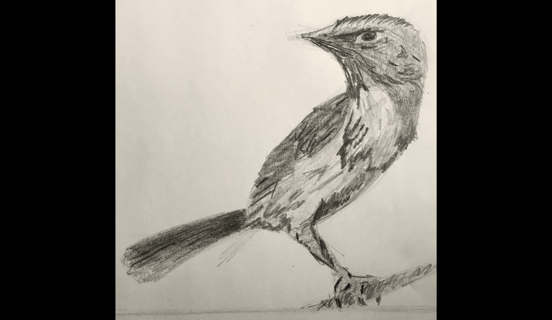 Life Lessons From A Drawing Class