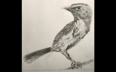 Life Lessons From A Drawing Class