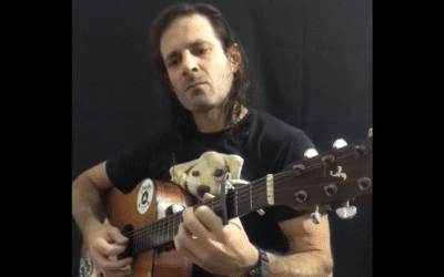 The Ride – David Allan Coe (Cover by Eddie Signaigo)