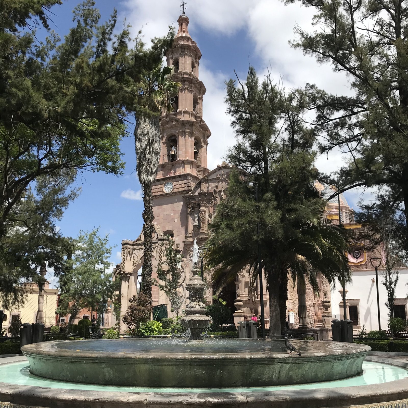 Jardin del Encino in Aguascalientes