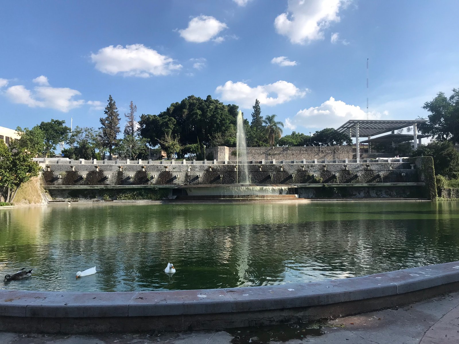Parque Alcalde - Guadalajara, Jalisco.