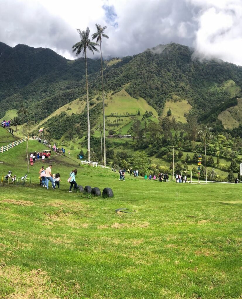 Columbian hillside.