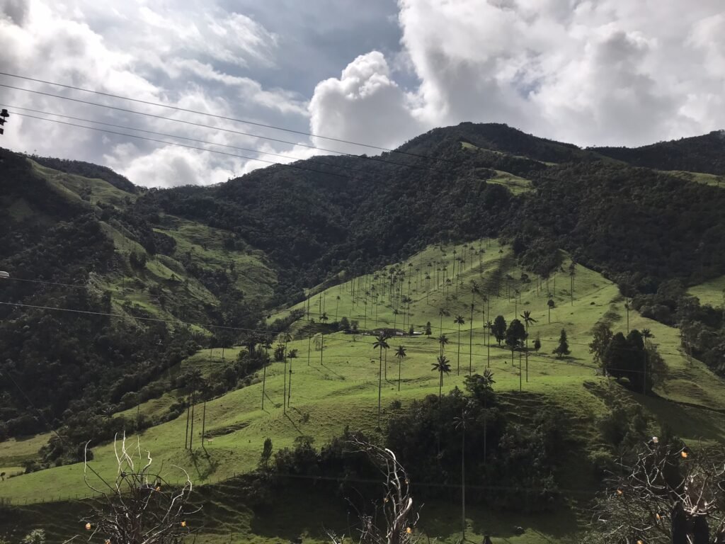 Countryside in Salento