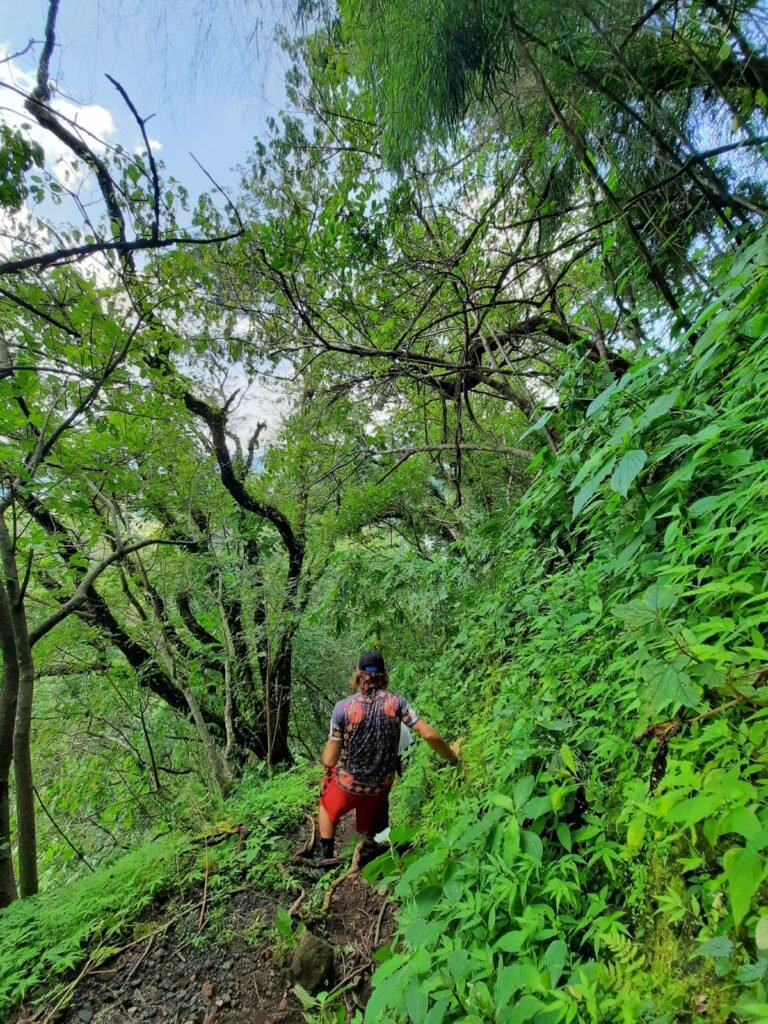 Hiking in La María