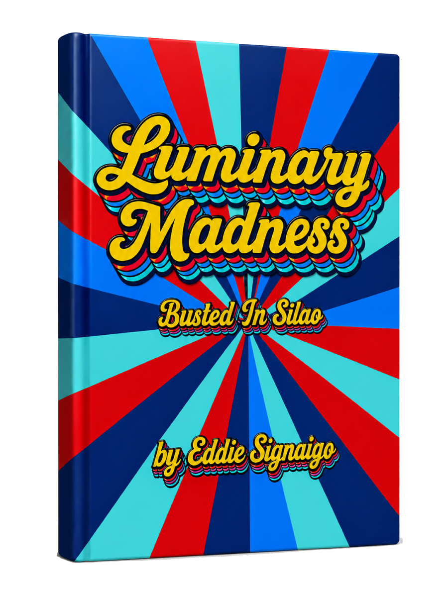 luminary-madness-front-1 Luminary Madness Book Display - Front and back cover - Starburst design with pastel colors